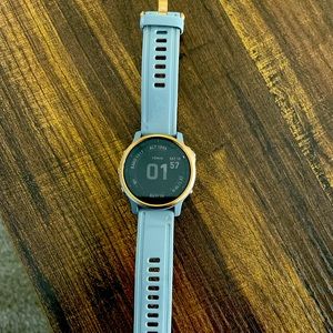 Garmin Fenix 6S Sapphire